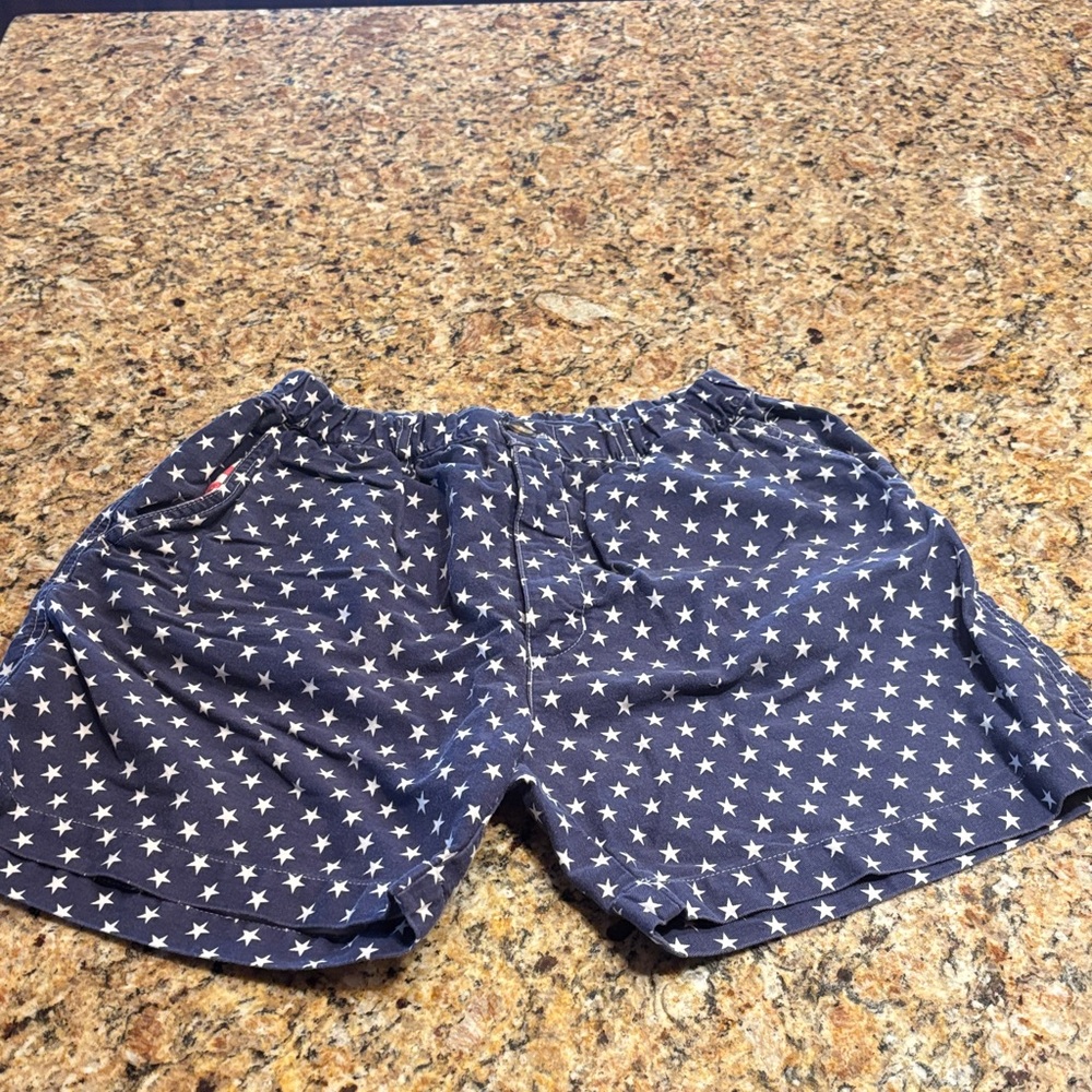 Chubbies Blue Star Pattern Men's Shorts
